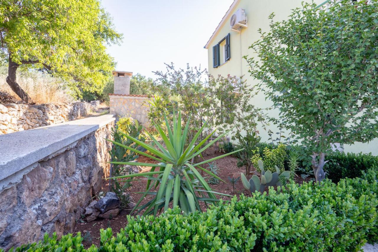 Apartment Pelicaric Dugi Otok