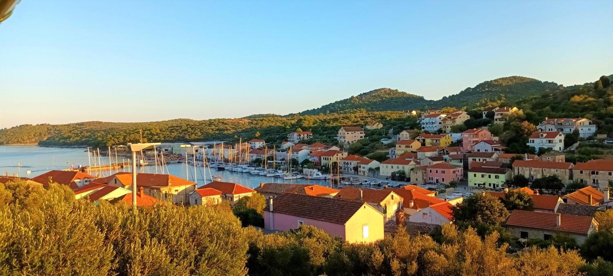 Pelicaric Dugi Otok Apartment